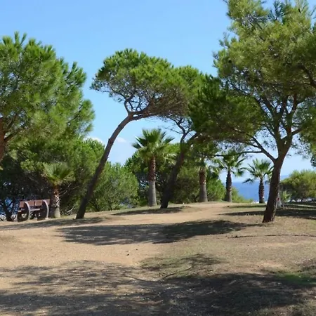 2 Pieces Avec Grande Terrasse, Proche Plage, A